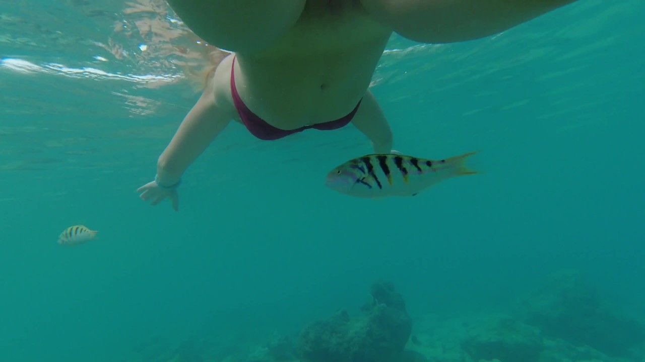 Snorkeling in reef