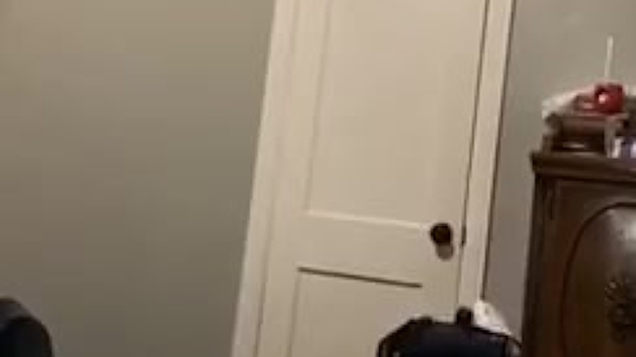 Young Bull Stroking With Verbal Explosive Nut At End
